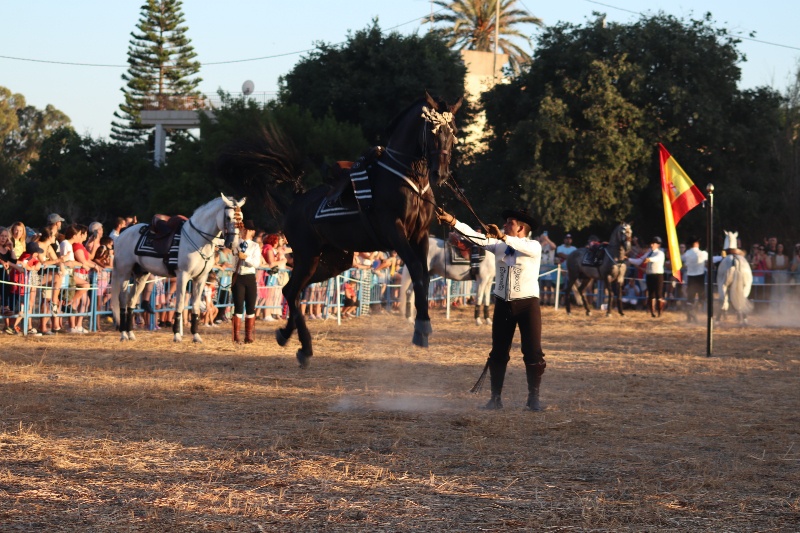 La doma al aire del festival de Andalucía